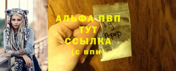 винт Балахна