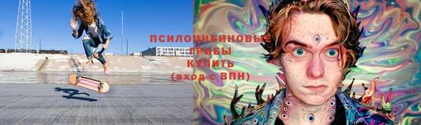 PSILOCYBIN Баксан