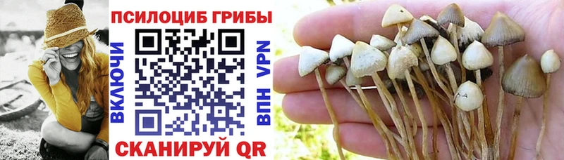 даркнет сайт  Благодарный  Галлюциногенные грибы Cubensis 